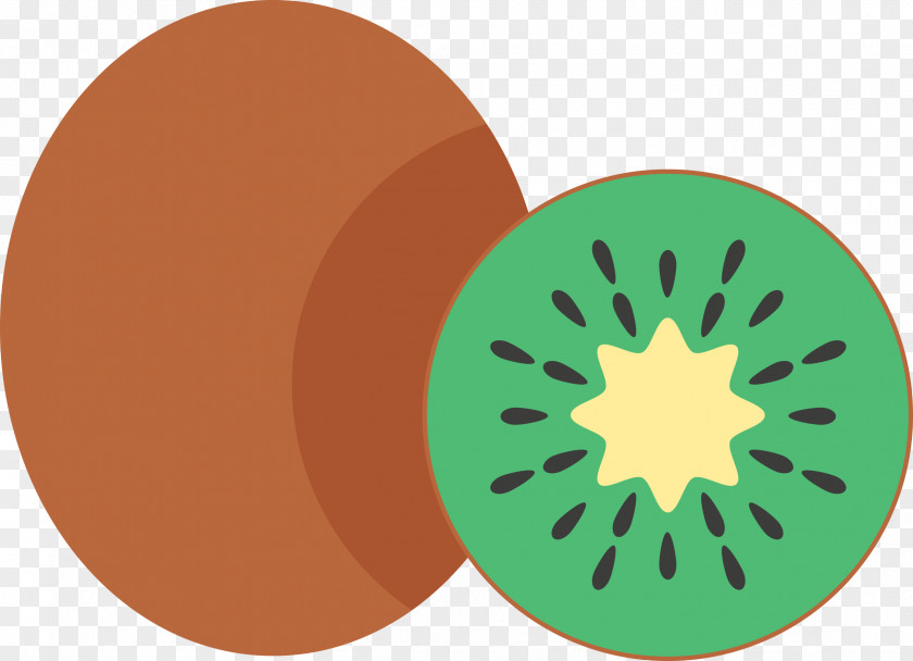 Fruit Medley Kiwifruit Vector Graphics Drawing PNG