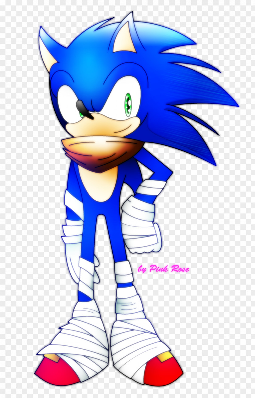 Meng Stay Hedgehog Sonic The Adventure 2 Shadow & Knuckles Boom PNG