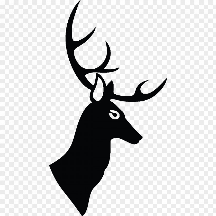 Reindeer Red Deer Antler Drawing PNG