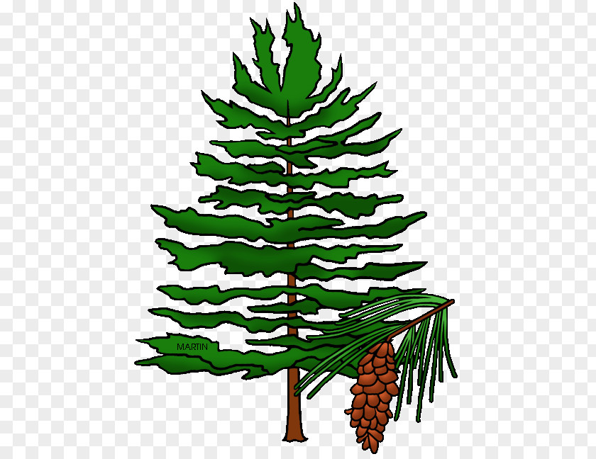 Tree North Carolina Arkansas Maine State Clip Art PNG