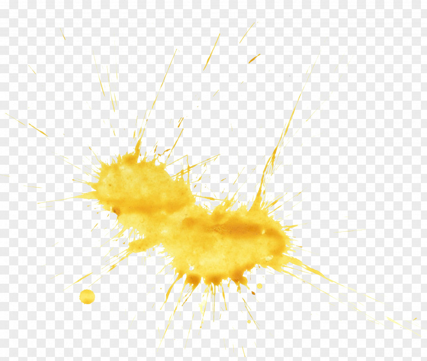 YELLOW Insect Close-up Macro Photography Desktop Wallpaper PNG