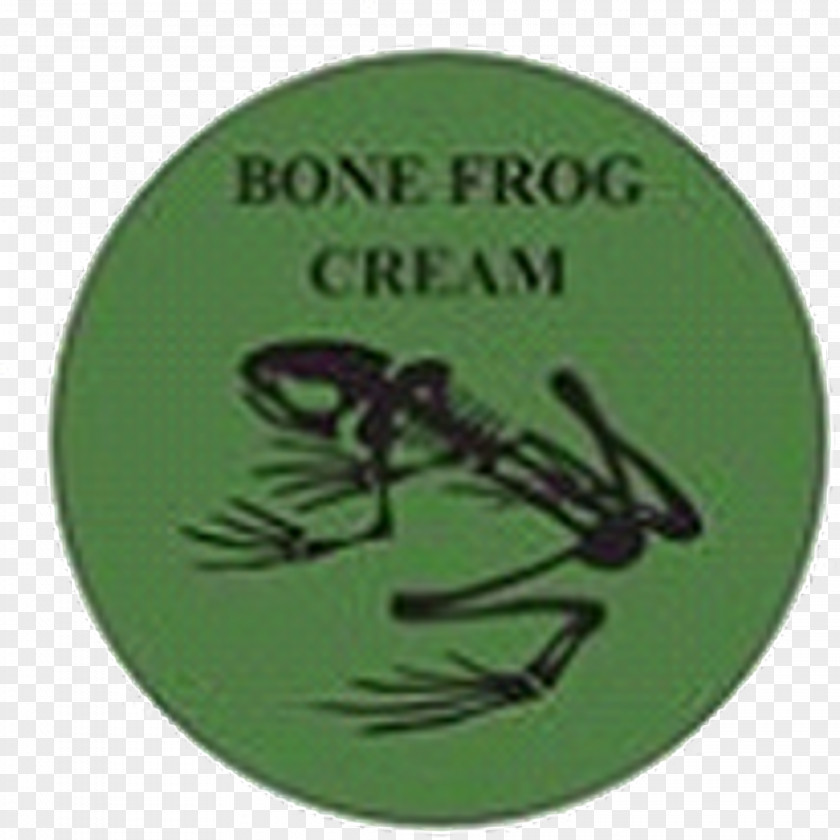 Bone Material United States Navy SEALs Frogman T-shirt PNG