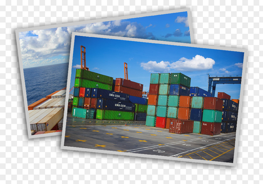 Business Export Freight Forwarding Agency International Trade Cargo PNG