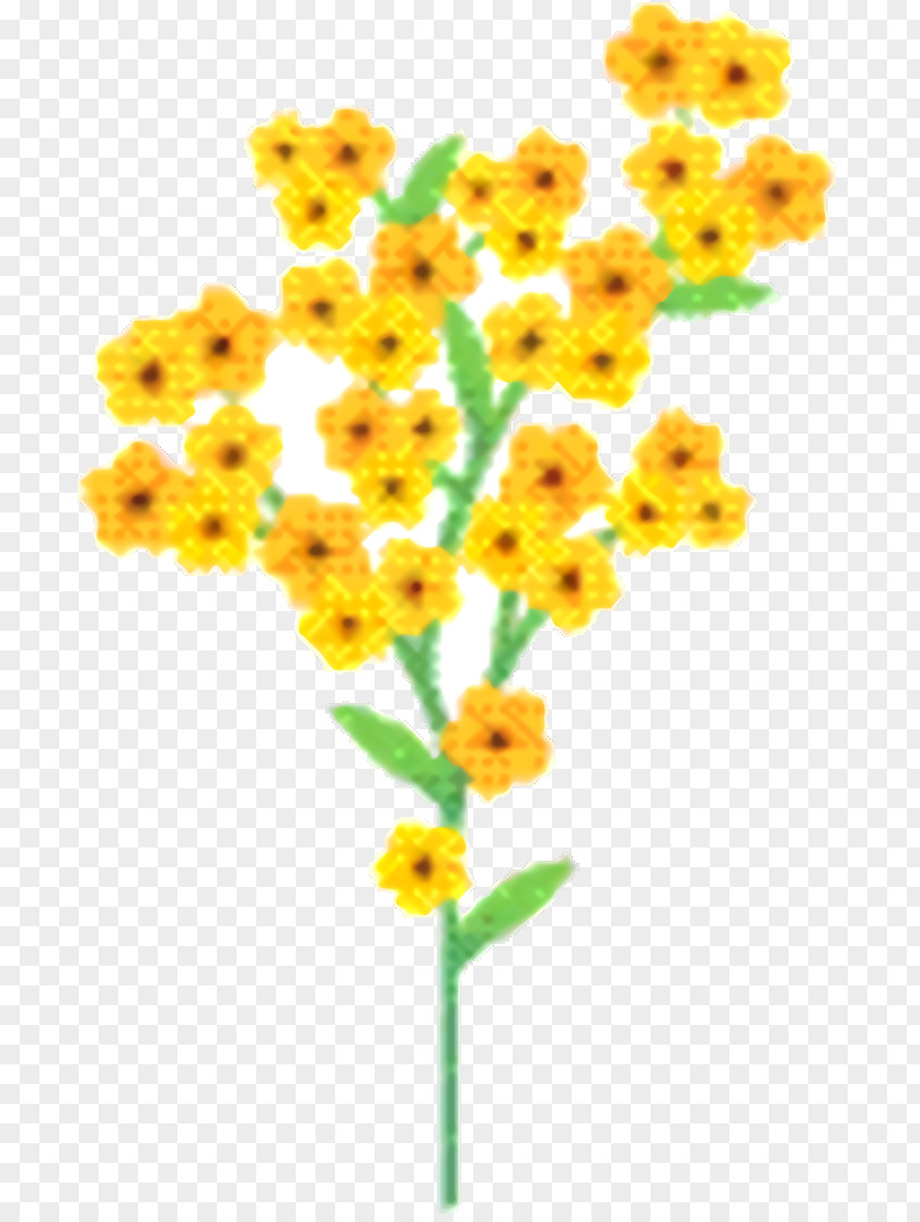 Daisy Family Lantana Flowers Background PNG