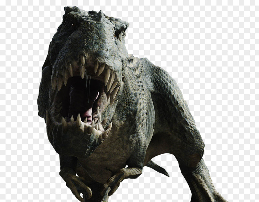 Dinosaur V. Rex Spinosaurus King Kong Giganotosaurus Tyrannotitan PNG