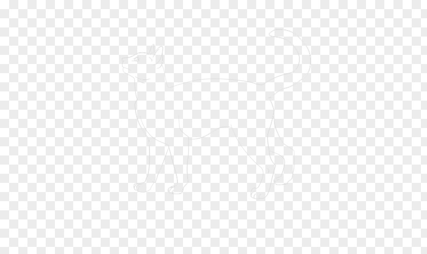 Dog Draw Whiskers Cat Macropodidae Hare Line Art PNG