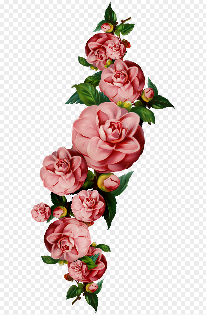 Flower PNG