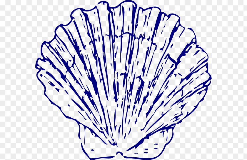 How To Draw A Conch Shell Seashell Blue Clip Art PNG