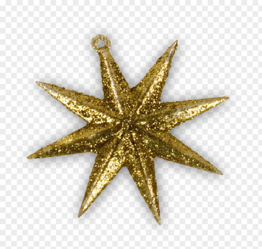 Starfish Star Christmas Ornament PNG