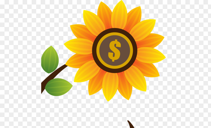 Sunflowers Common Sunflower Seed Daisy Family Petal PNG
