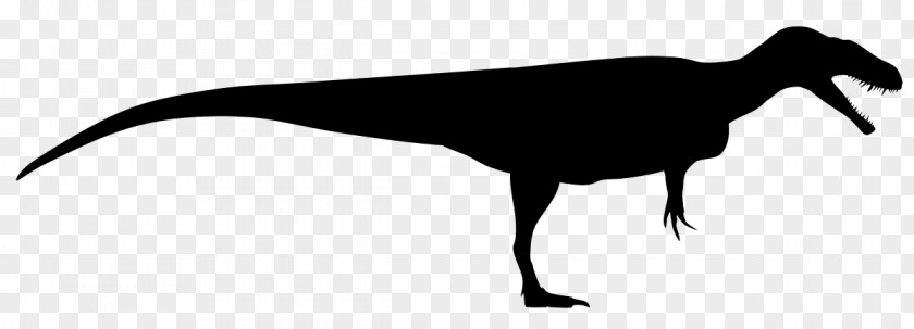 Blackandwhite Dinosaur PNG