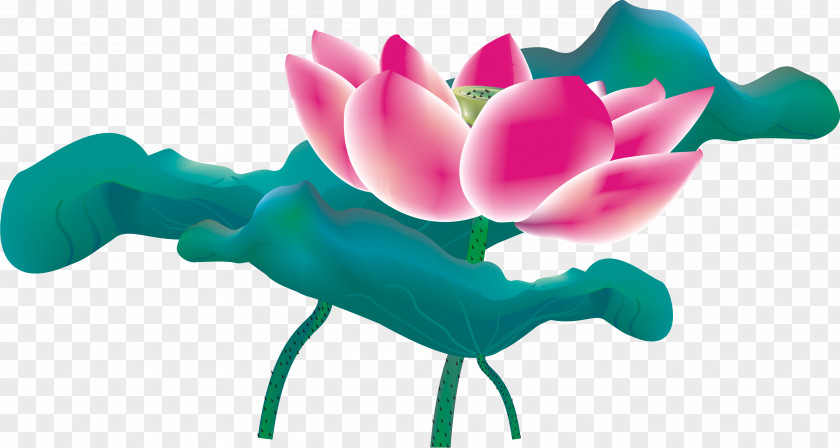 Chinese Lotus Nelumbo Nucifera China Leaf Effect PNG