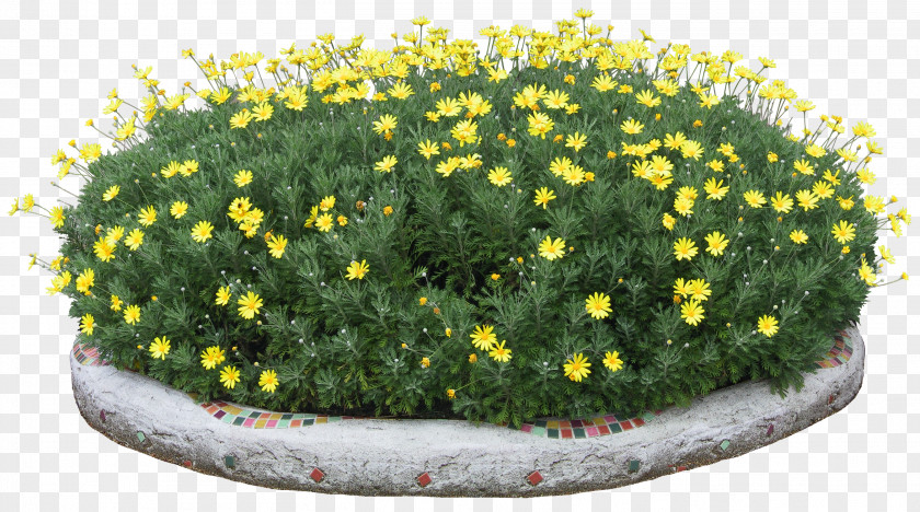 Flower Bed PNG