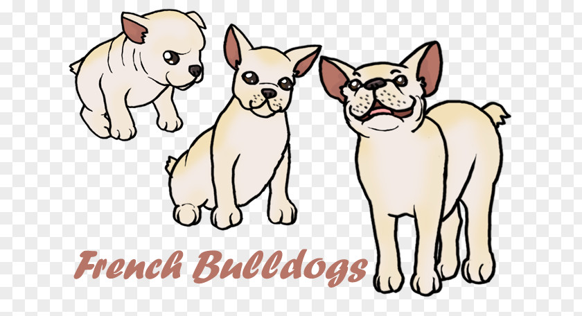 French Bulldogs Bulldog Puppy Kitten Dog Breed PNG