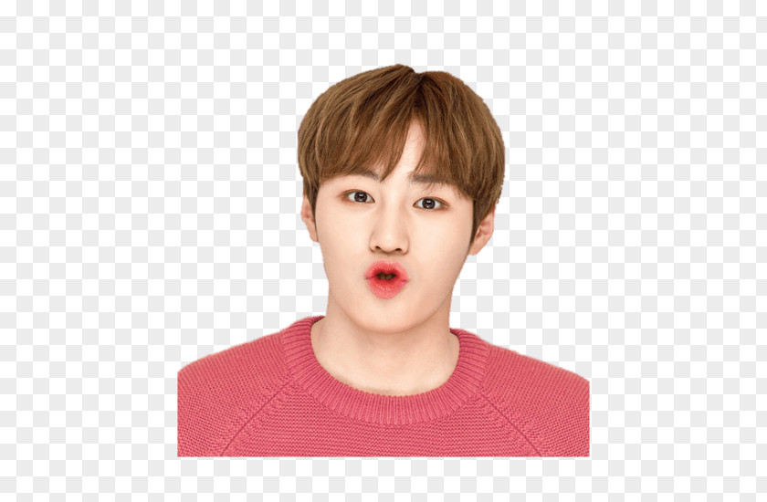 Innisfree Ha Sung-woon Wanna One Lip Balm 1X1=1 (To Be One) PNG