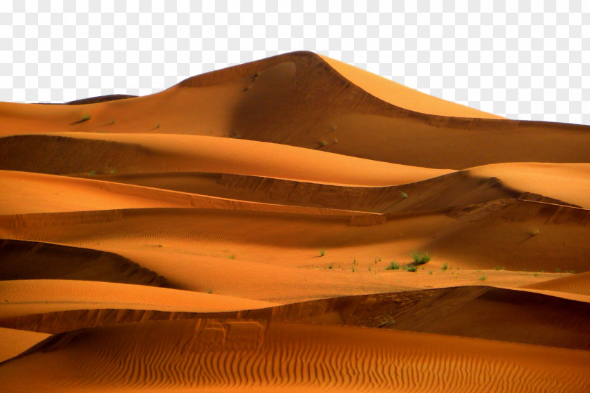 Landscape Brown Desert Erg Natural Environment Aeolian Landform Sand PNG