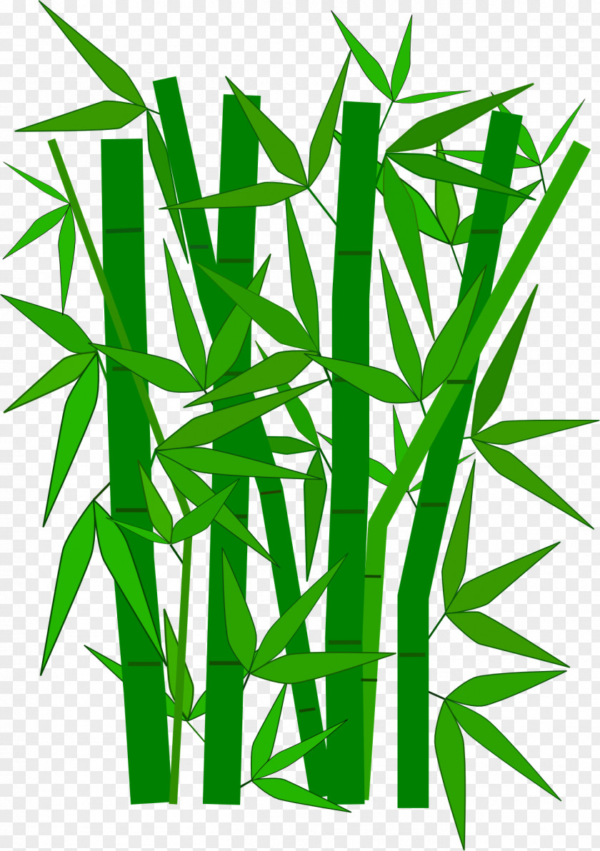 Mango Tree Bamboo Clip Art PNG