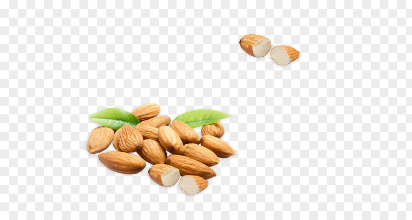 Orris Root Botanicals Almond Food Nut Ingredient Cashew PNG