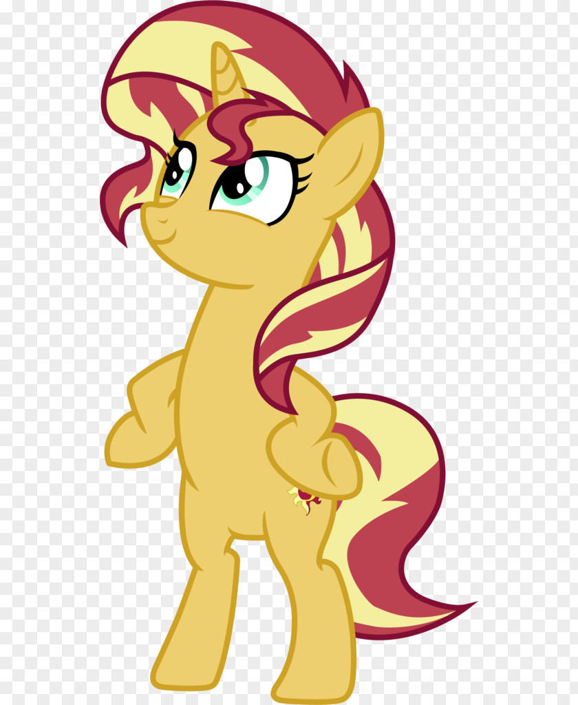 Sunset Shimmer Pony Rarity Twilight Sparkle Princess Cadance PNG