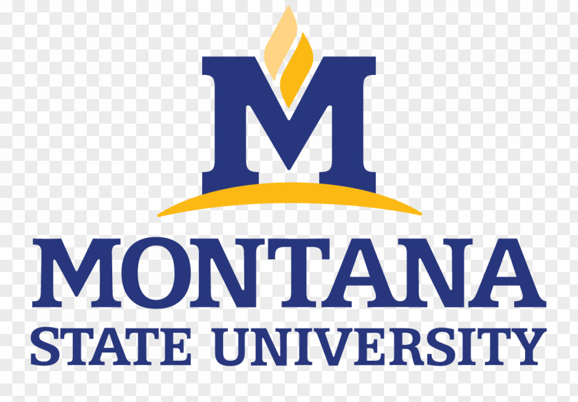 Alumni Montana State University Billings System Master's Degree PNG