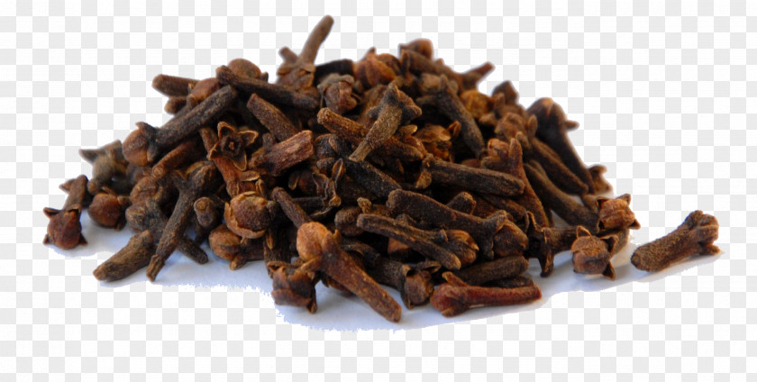 Clove Indian Cuisine Spice Herb Condiment PNG