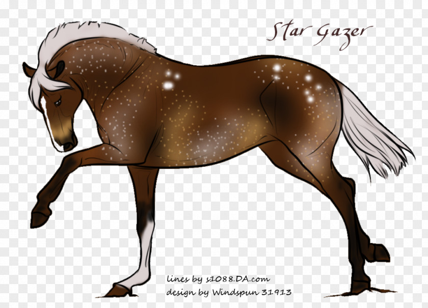 Night Sky Stars Mane Foal Pony Stallion Mare PNG