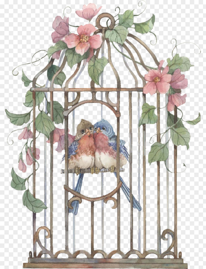 Cage Birdcage PNG