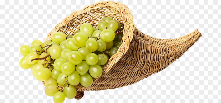 Grape Common Vine Sultana Online Chat Internet Forum PNG