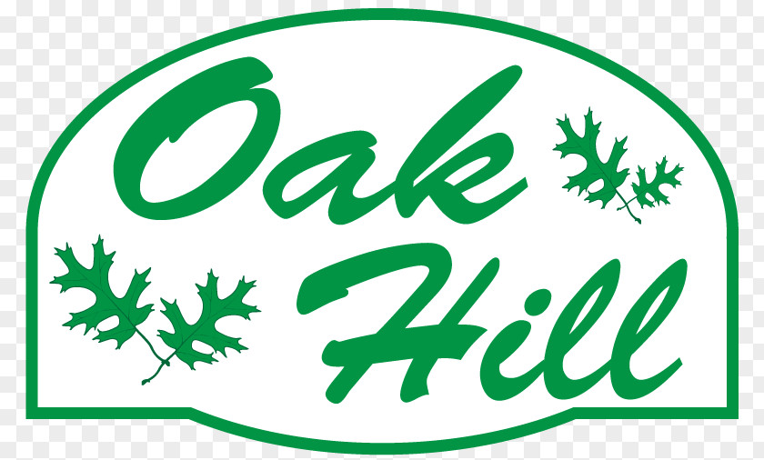 Oak Hill Elementary Teachers Heart Of Oak: Nine Centuries Life Leaf Clip Art Brand Plant Stem PNG
