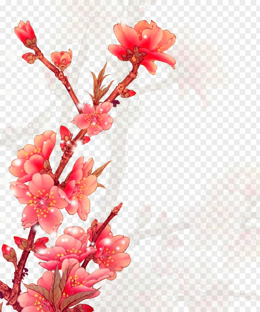 Plum Flower Oil Painting Download PNG
