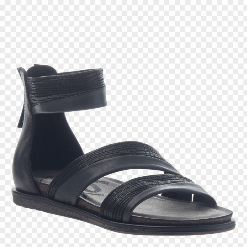 Sandal Slipper Shoe Boot Wedge PNG