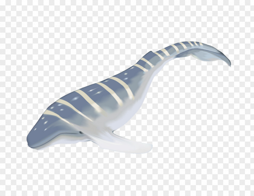 Humpback Whale Plastic Animal PNG
