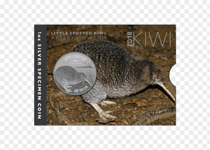 Silver New Zealand Little Spotted Kiwi Coin Great PNG