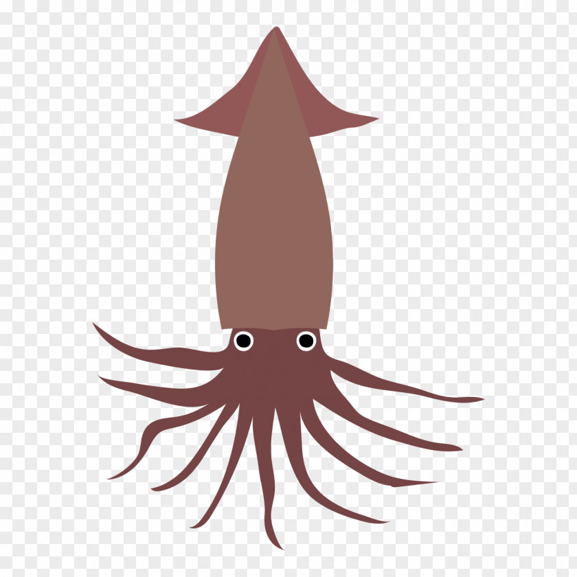 Squids Octopus Squid Seafood Fish Illustration PNG