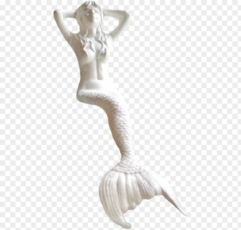 Trunk Muscle Mermaid Cartoon PNG