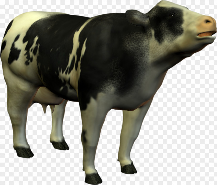Cow Cattle Experiments On Plant Hybridization Animal Cell PNG