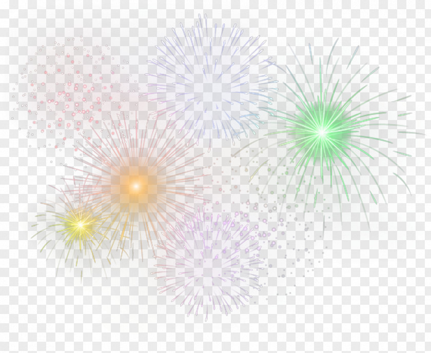 Fireworks Graphic Design Petal Green Pattern PNG