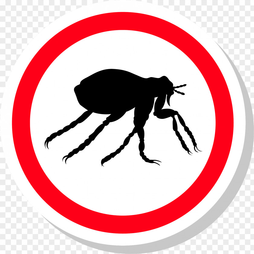 Flea Insect Pest Control Treatments PNG
