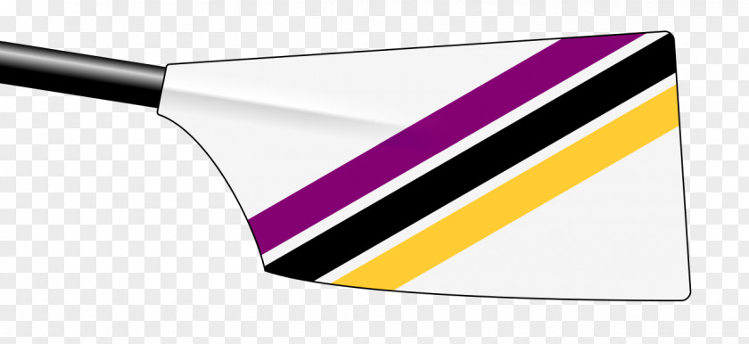 Rowing Yellow Sporting Goods Purple Angle PNG
