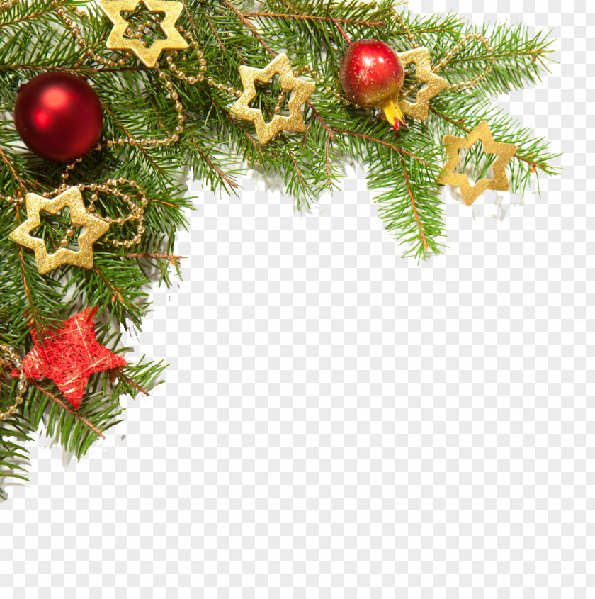 Spruce Holly Christmas Decoration PNG