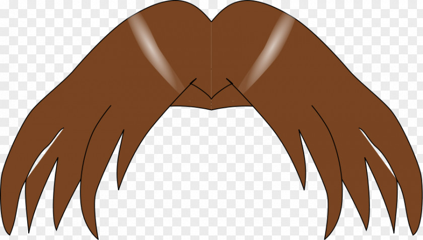 Hair Brown Black Clip Art PNG