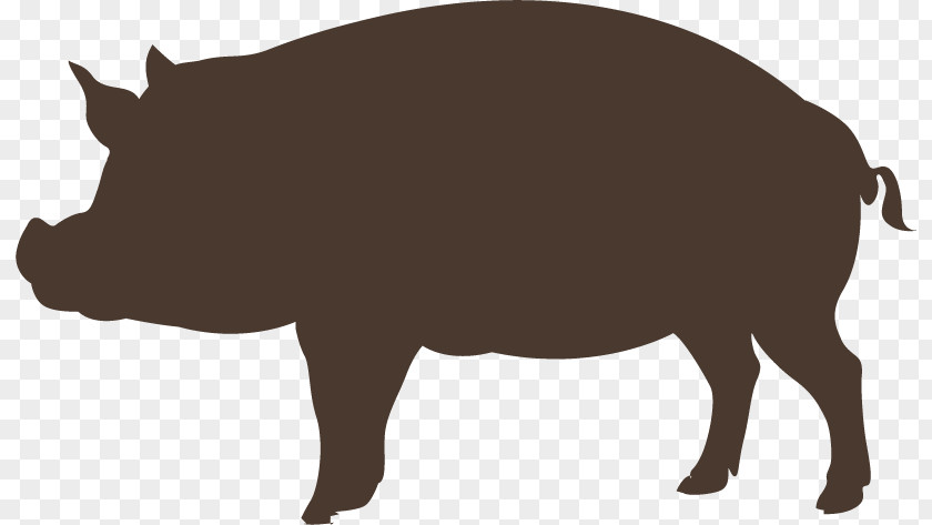 Hand-painted Wild Boar Domestic Pig Graphic Design PNG
