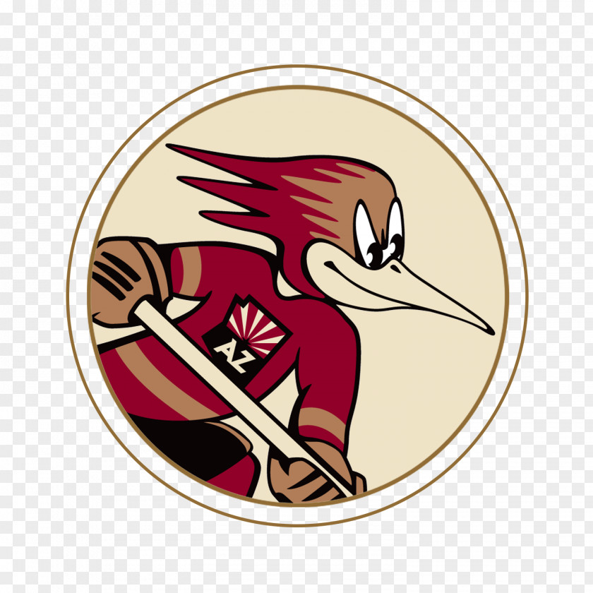Hockey Tucson Roadrunners Arizona Coyotes American League Convention Center Texas Stars PNG
