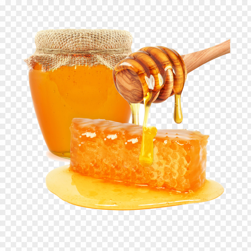 Honey Bee Honeycomb Mu0101nuka PNG