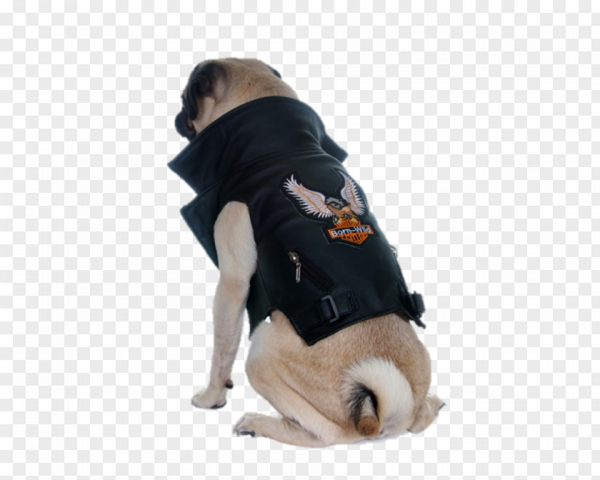 Jacket Dog Breed Pug Clothing Waistcoat Costume PNG
