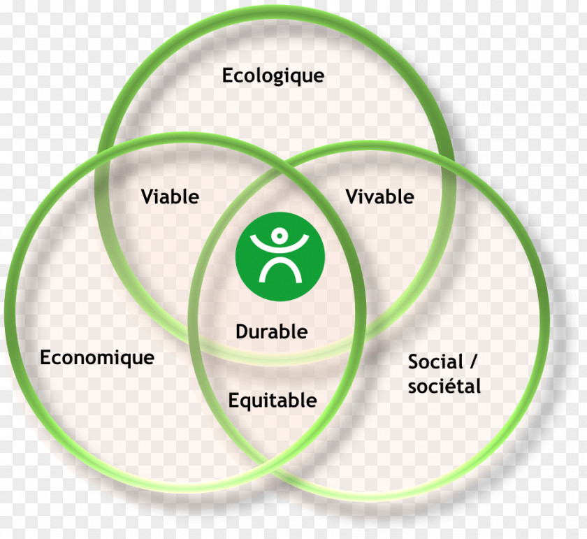Rse Responsabilité Sociétale Corporate Social Responsibility Empresa Ansvar PNG
