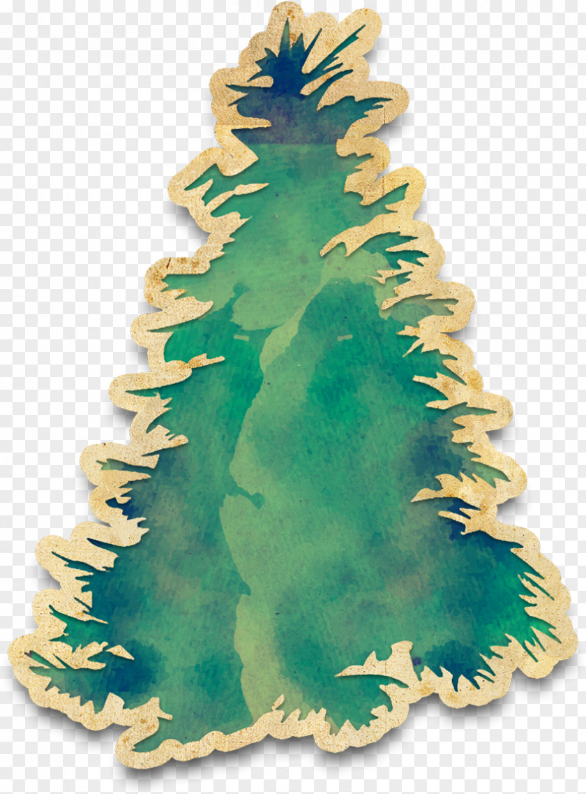 Tree Fir Watercolor Painting Birch Twig PNG