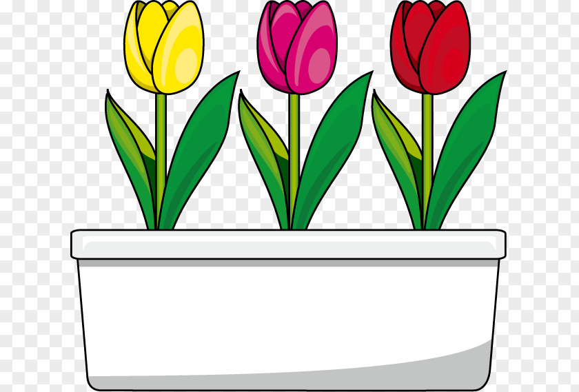 Tulip Cut Flowers Clip Art PNG
