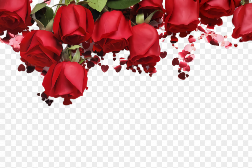 Valentines Day Bouquet Garden Roses PNG