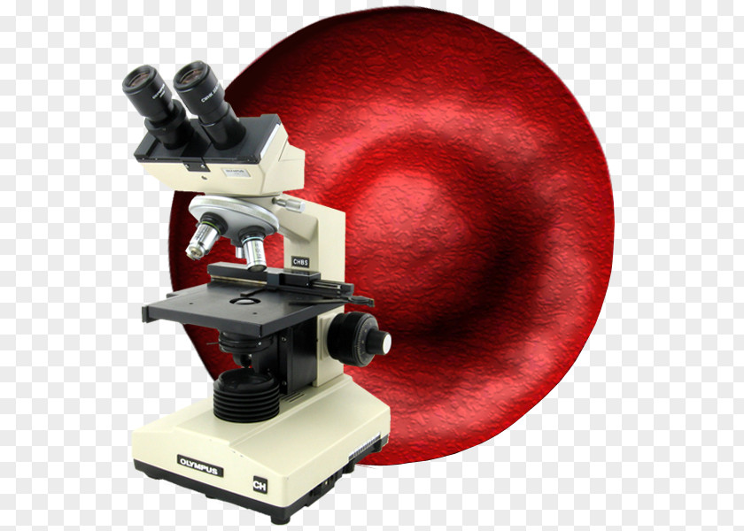 Blood Under Microscope Darkfield Live Analysis Microscopy Cell PNG